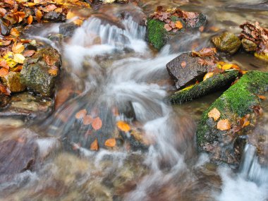 Ekim Stream
