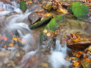 Ekim Stream