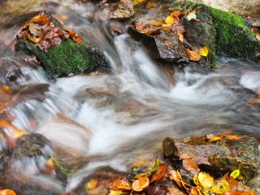 Ekim Stream