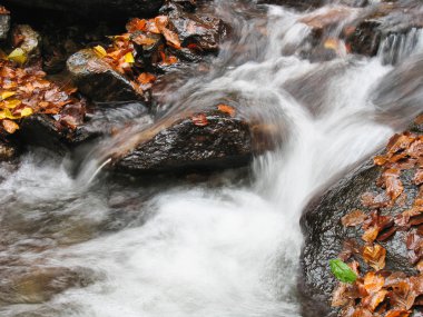 Ekim Stream