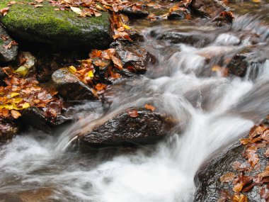 Ekim Stream