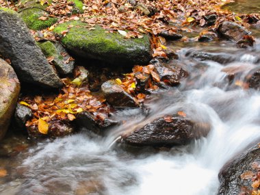 Ekim Stream