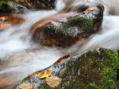 Ekim Stream
