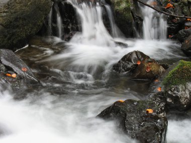 Ekim Stream