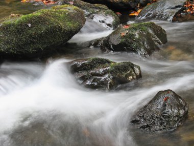 Ekim Stream