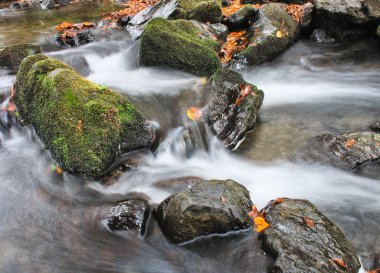 Ekim Stream