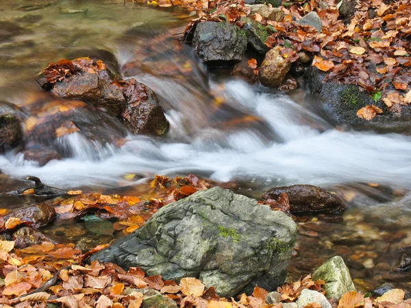 Stream in oktober — Stockfoto