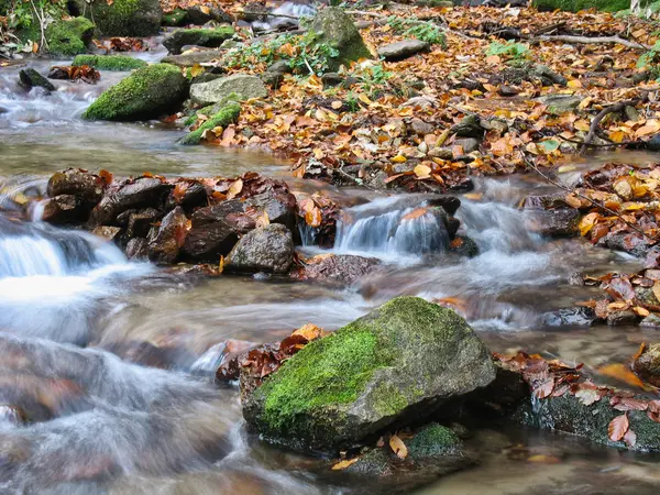 Stream in October — Stock Photo, Image