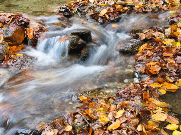 Stream in ottobre — Foto Stock