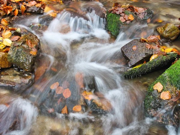 Stream in October — Stock Photo, Image