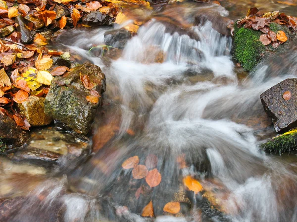 Stream in oktober — Stockfoto