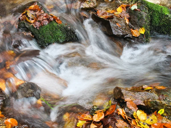 Stream im Oktober — Stockfoto