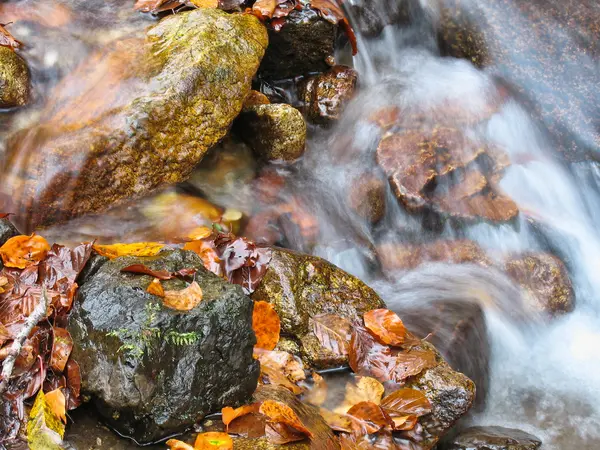 Stream im Oktober — Stockfoto