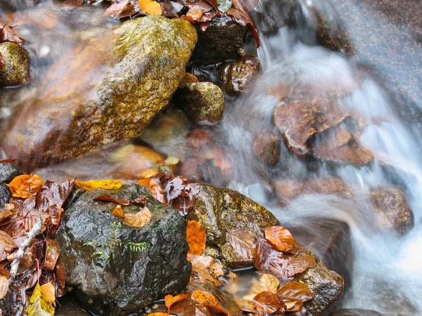 Stream in oktober — Stockfoto