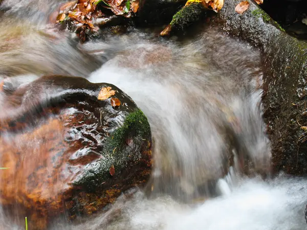 Stream in ottobre — Foto Stock