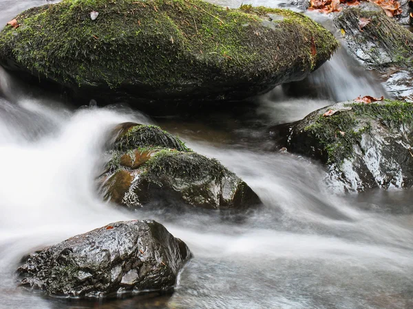 Stream in ottobre — Foto Stock