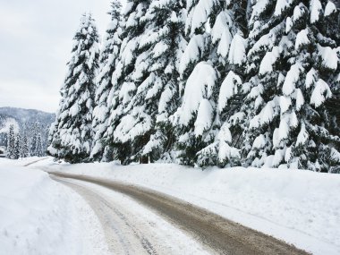 Karlı kış manzarası