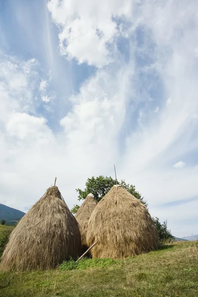 干し草の山で農村景観 — ストック写真