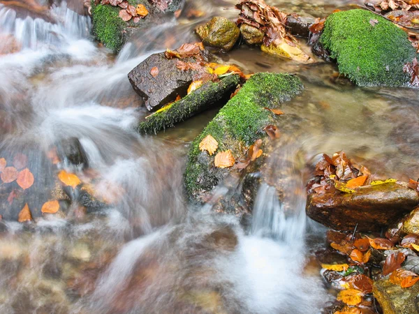 Creek in de herfst — Stockfoto