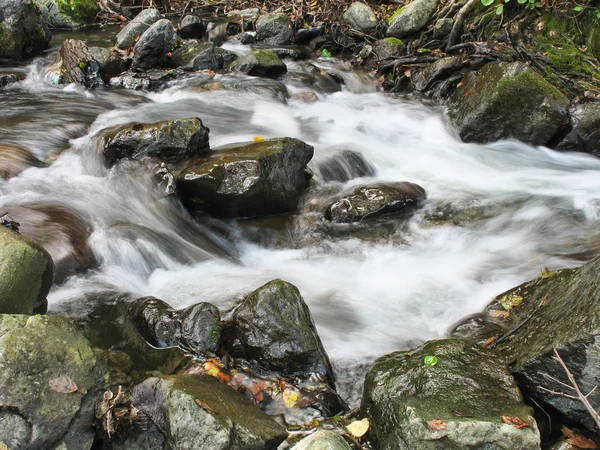 Herfst in rivier — Stockfoto