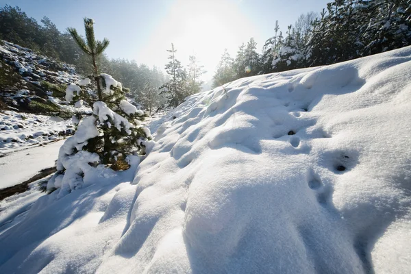 Winterlandschaft mit Schnee — Stockfoto