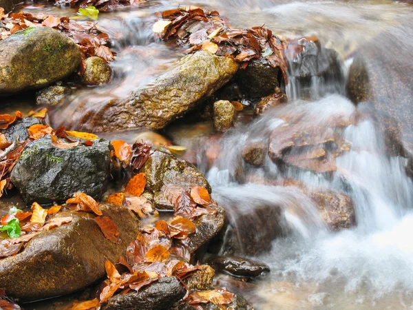 River in autumn Stock Image