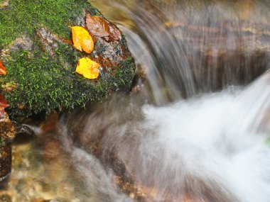 Ekim Stream