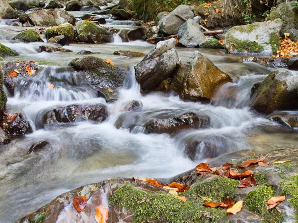 Stream in ottobre — Foto Stock