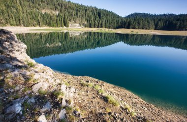 Yaz forest lake ayna yansıması ile