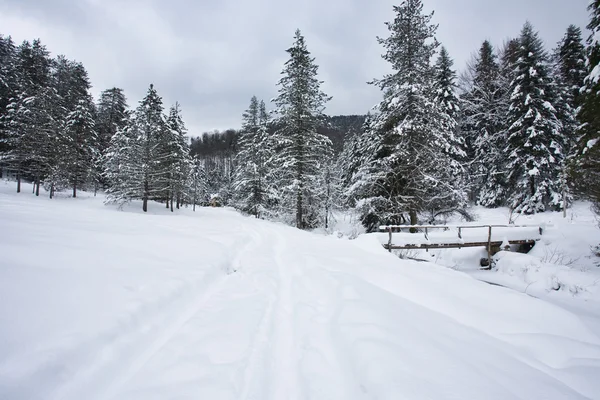 Krajobraz zimowy ze śniegiem — Zdjęcie stockowe