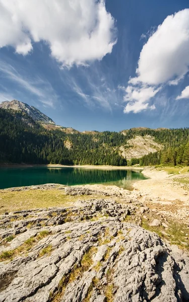 Górskie jezioro w lesie — Zdjęcie stockowe