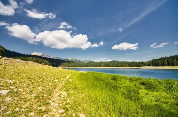 Skönhet solig dag på sjön — Stockfoto