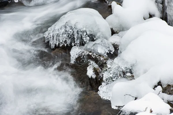 Cala de invierno — Foto de Stock