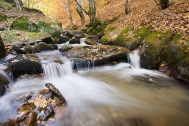 güzel creek