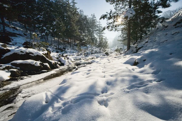 Paisagem inverno — Fotografia de Stock