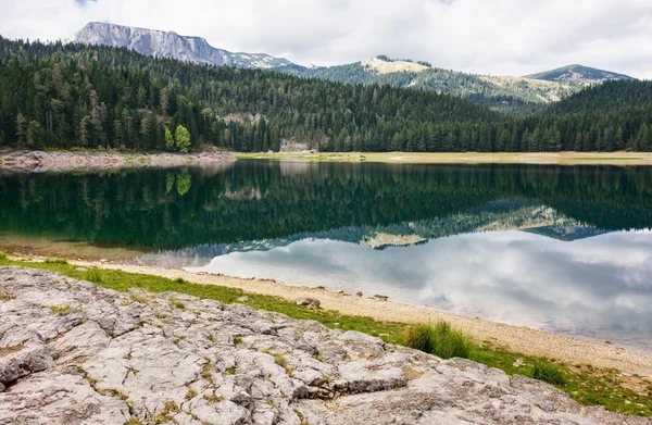 Mountain and forest lake — Stock Photo, Image