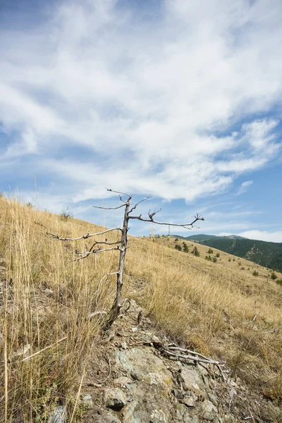 Schöne Landschaft in den Bergen — Stockfoto