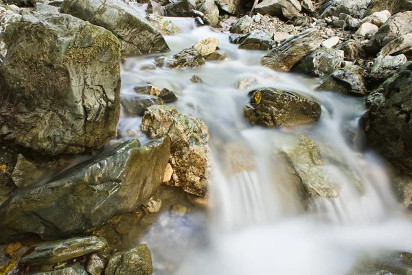 Rocks in stream — Stock Photo, Image