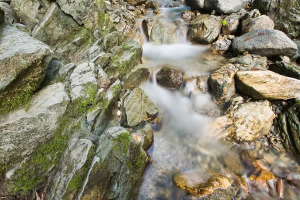 Rocks in stream