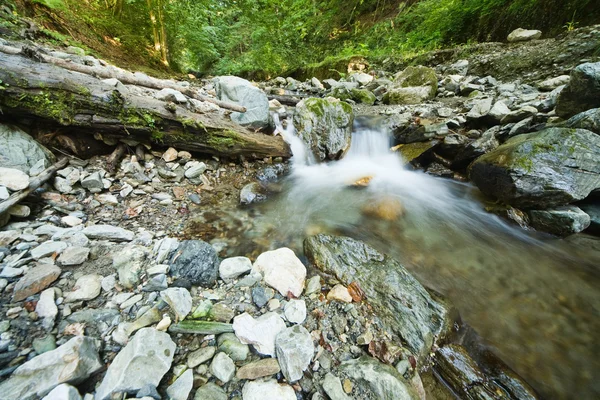 Rocks in stream — Stock Photo, Image