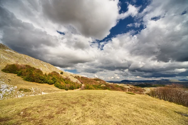 Vackert landskap i bergen — Stockfoto