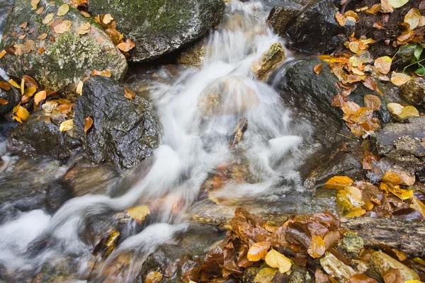 Creek in October — Stock Photo, Image