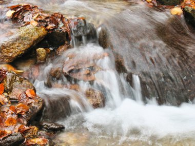 Ekim Stream