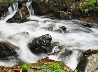 güzel creek Güz