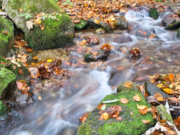 Stream im Herbst — Stockfoto