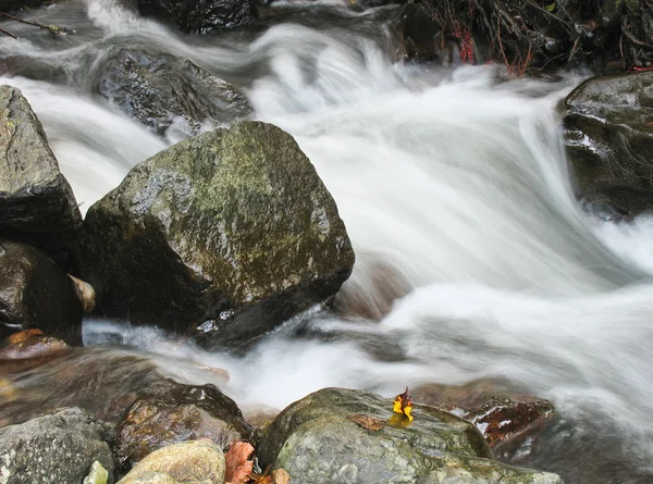 Kameny a voda — Stock fotografie