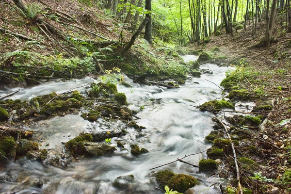 Beautiful creek — Stock Photo, Image