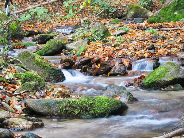 Cours d'eau en montagne — Photo