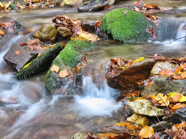 Stream in autunno — Foto Stock