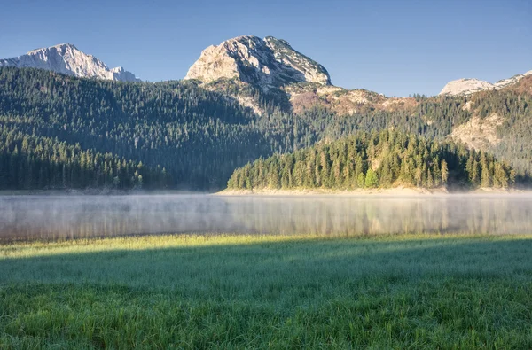 Lago forestale — Foto Stock